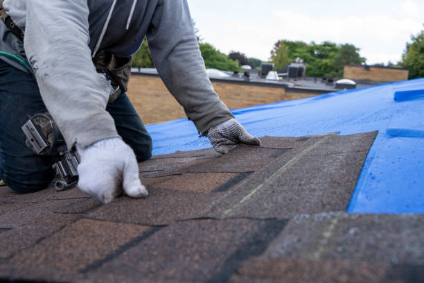 Best Residential Roofing Contractor  in Rice, MN