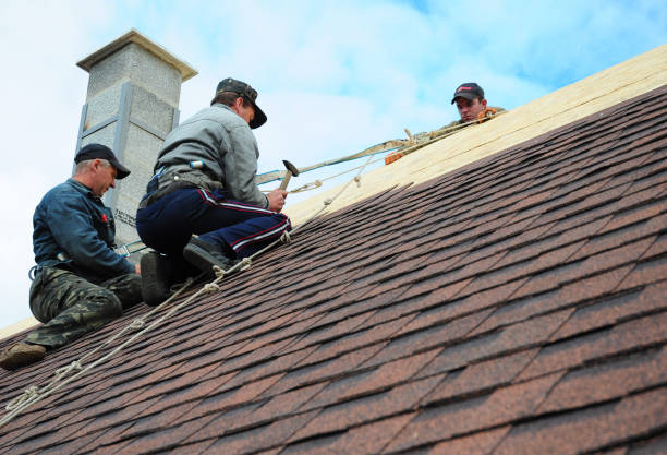 Best Emergency Roof Repair  in Rice, MN