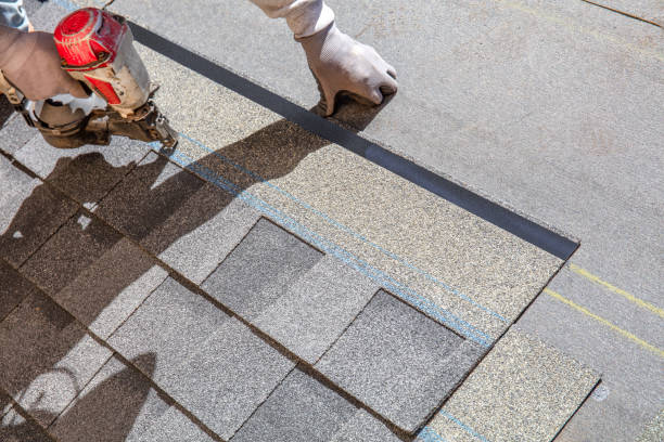 Best Gutter Installation and Roofing  in Rice, MN